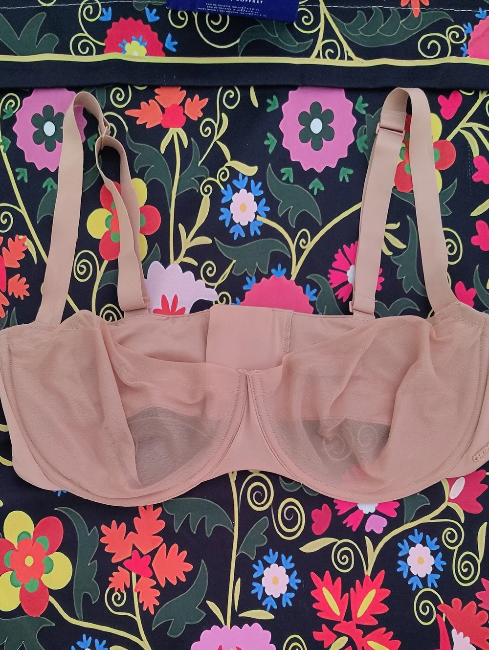 Skims Sheer Nude Underwire Bra Suze 38 DD - Picture 1 of 7